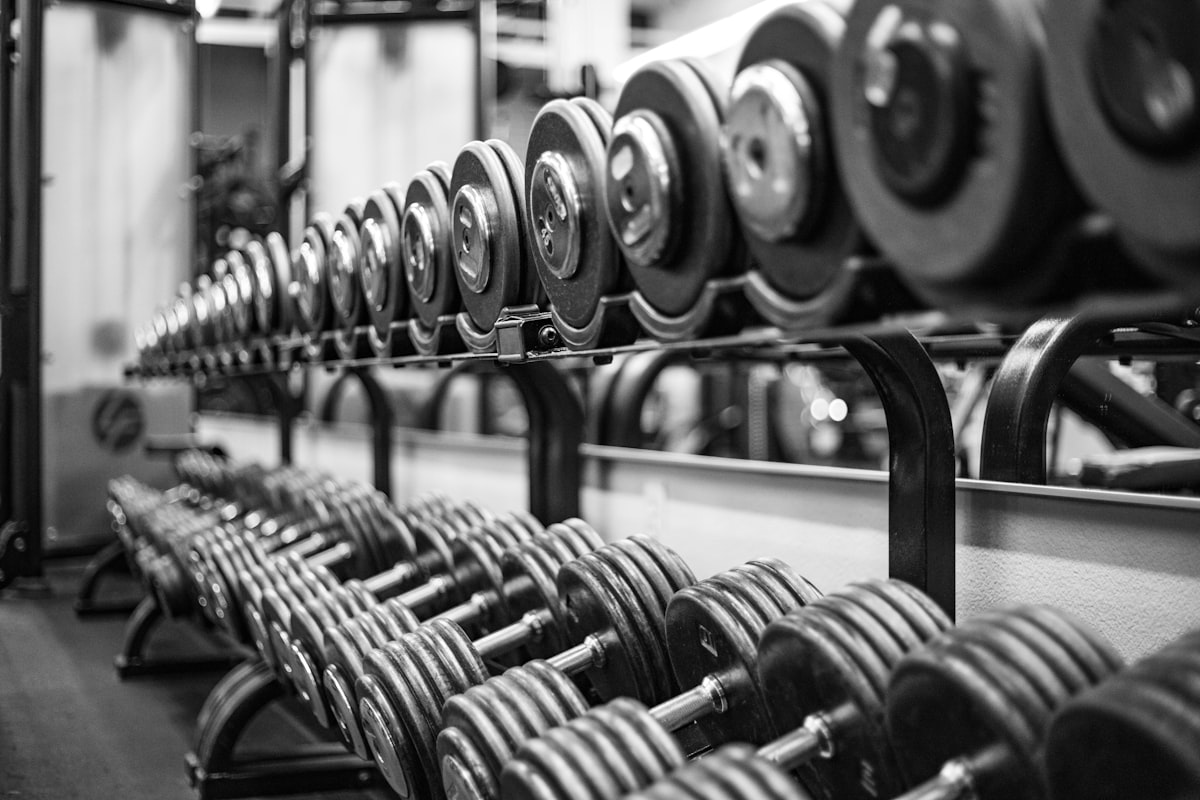 Entraînement en musculation