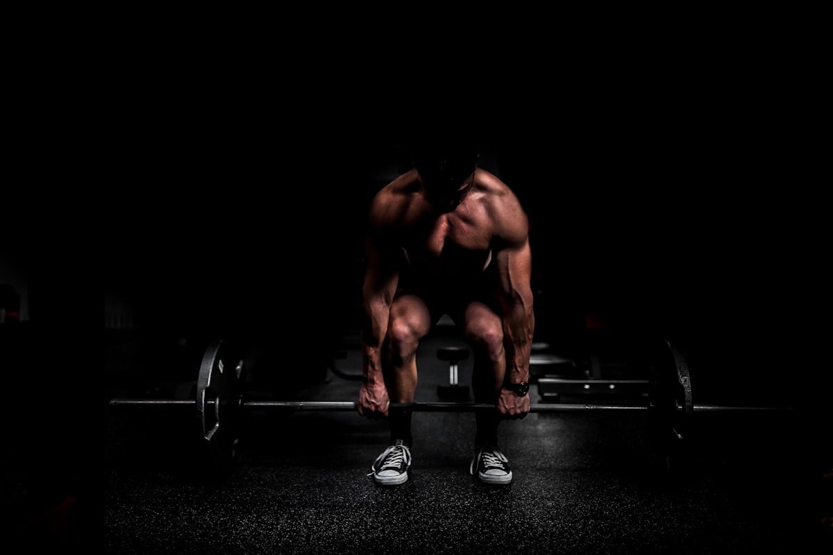 Alimentation pour la musculation